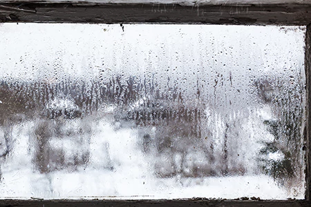Defogging Double Pane Windows in Palm River-Clair Mel, FL