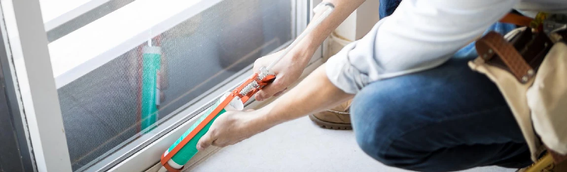Emergency Window Replacement Services in Palm River-Clair Mel, FL