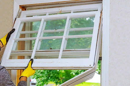 Window Replacement in Palm River-Clair Mel, FL