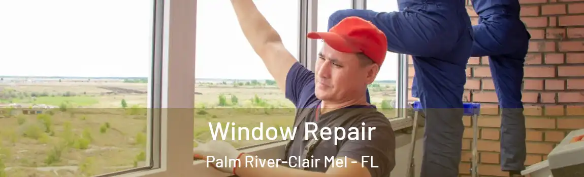  Window Repair Palm River-Clair Mel - FL
