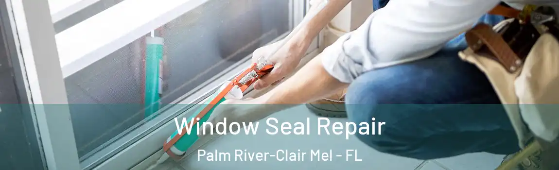  Window Seal Repair Palm River-Clair Mel - FL